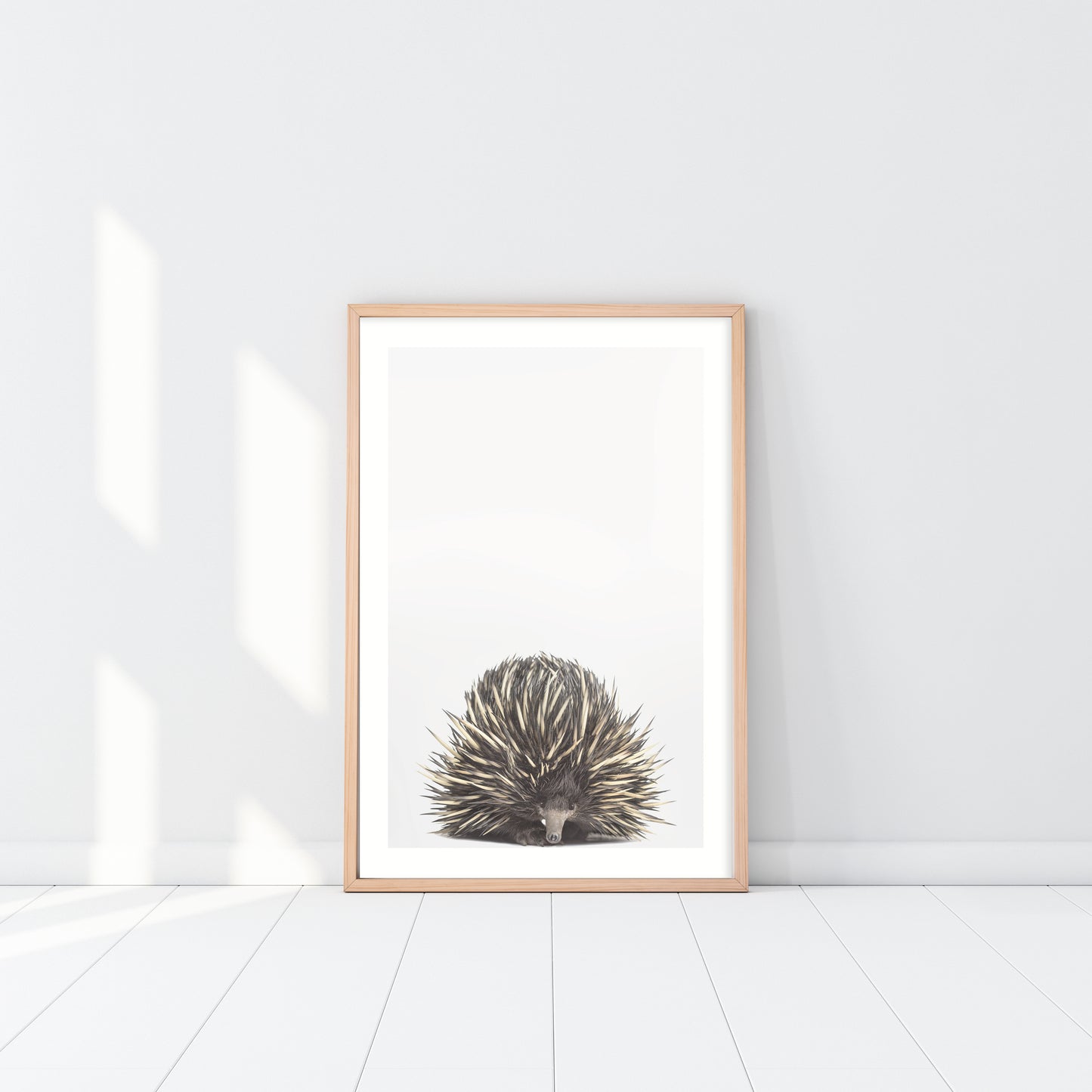 Baby Echidna Art Print