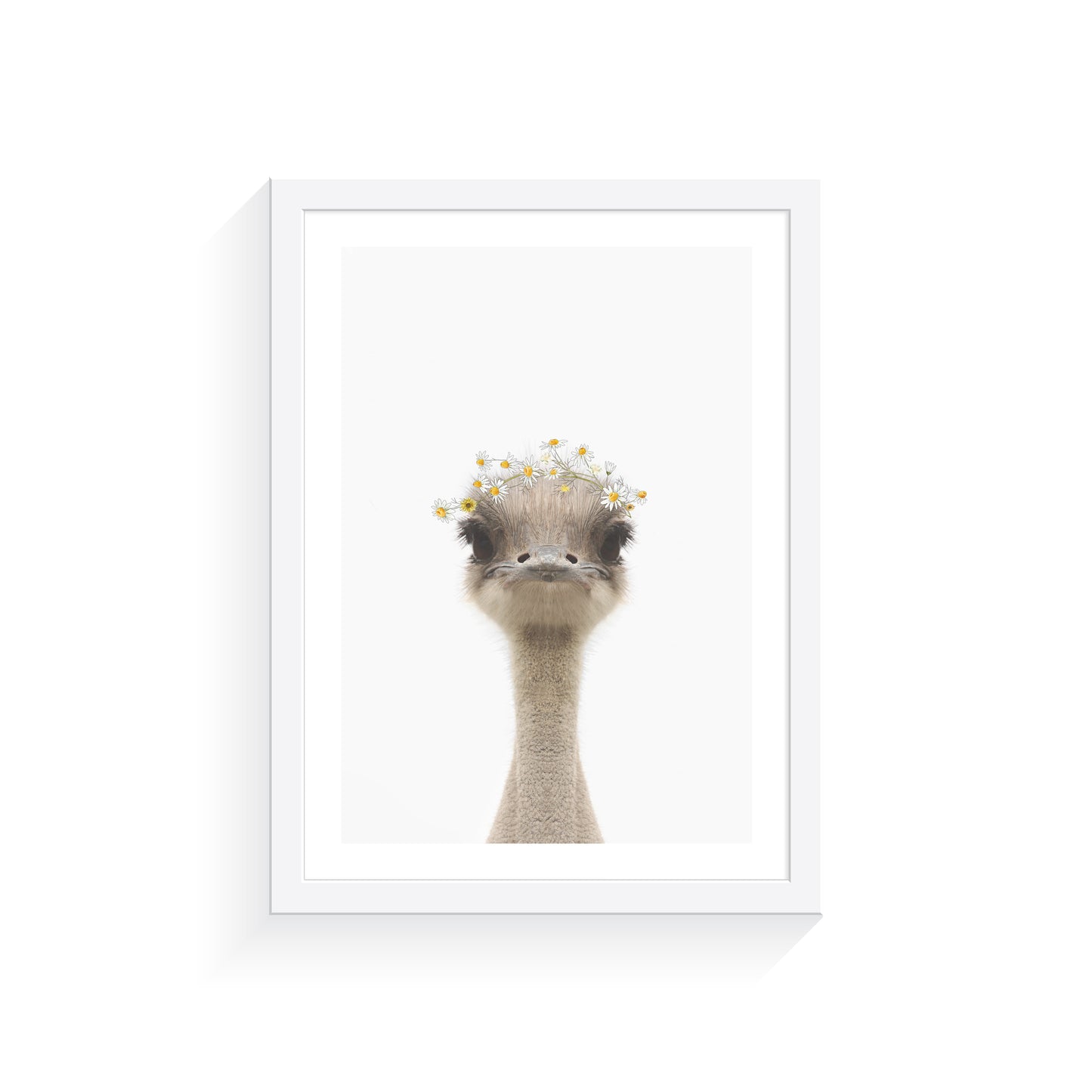 Australian animal art print
