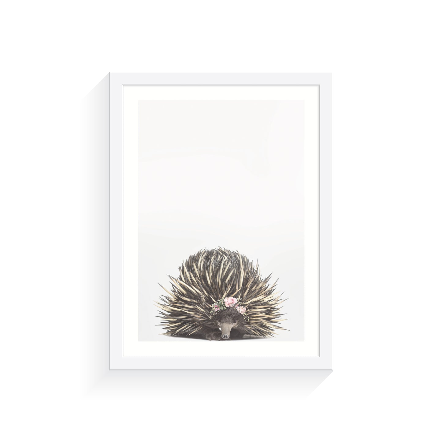 Baby Echidna Rose Crown A3 Print Only