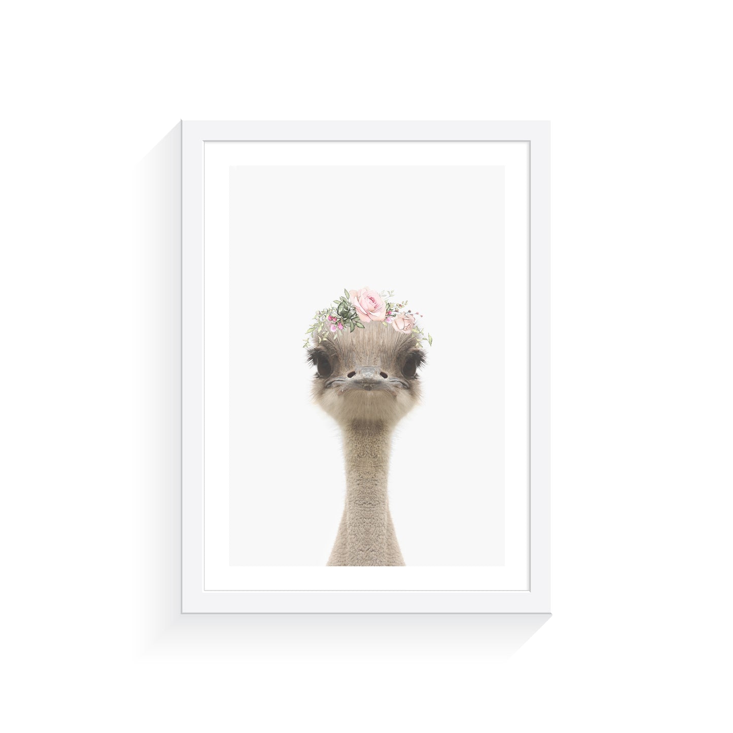 Australian Emu Rose Crown Art Print